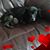 Timothy Breedlove's profile image
