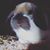 Cole Ralston's profile image