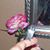 Trudy Brown's profile image