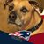 Doris Canzano's profile image