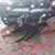 Lenora Jeanette Trujillo's profile image