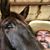 Casey D Jones's profile image
