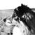 John Anning's profile image