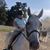 Laura Bailey Brown's profile image