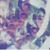 Carissa Hamman's profile image