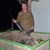 Tom Faulhaber's profile image