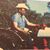 Mac Burnett's profile image