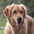 Annie Boredy Doredy's profile image