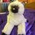 Kathi Wright's profile image