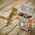 Diane Gausman's profile image