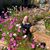 Melinda Roland's profile image