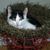 Sharon Gallup's profile image
