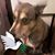 Nj Stephens's profile image