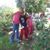 Alonso Ursua Edgar's profile image