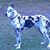 Doug Ingram's profile image