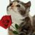 Abel Sanchez Sanchez's profile image