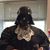 Susan K. Thomas's profile image