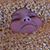 Jade Byrom's profile image