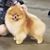 Deborah Snow's profile image