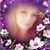 Shana Hout's profile image