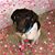 Mitzi Truhn's profile image
