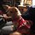 Kathy Jolliff's profile image