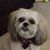 Ada Hand Blanchard's profile image