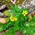 Ruth Reiser's profile image