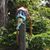 Fred Faivre's profile image