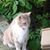 Susan Elaine Kantor's profile image