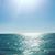 Suzanne Martin Hazelton's profile image