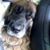 David Hiller's profile image