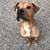 Kerrie Sellers's profile image