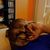 Courtney Sebastiaan Bennett's profile image