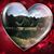 Gina Sophia Coghlan's profile image
