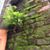 Nikki Somers Comstock's profile image