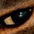 Kitty Heuer's profile image