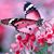 Lezlie Bicknell's profile image