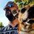 Patrick Attwood's profile image