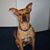 Karen Walters Conner's profile image