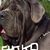 Sergio Choko Jaramillo's profile image