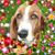 Barbara Burkart's profile image