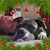 Ginger Wiegand's profile image