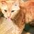 David Lee Gibson's profile image