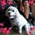 Geri Gaynor's profile image