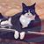 Christine DiRuzza's profile image