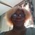 Yvette Gardin's profile image
