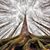 Don Rull's profile image