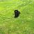 Rosemarie Rosato's profile image