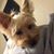 Robyn Dunker's profile image